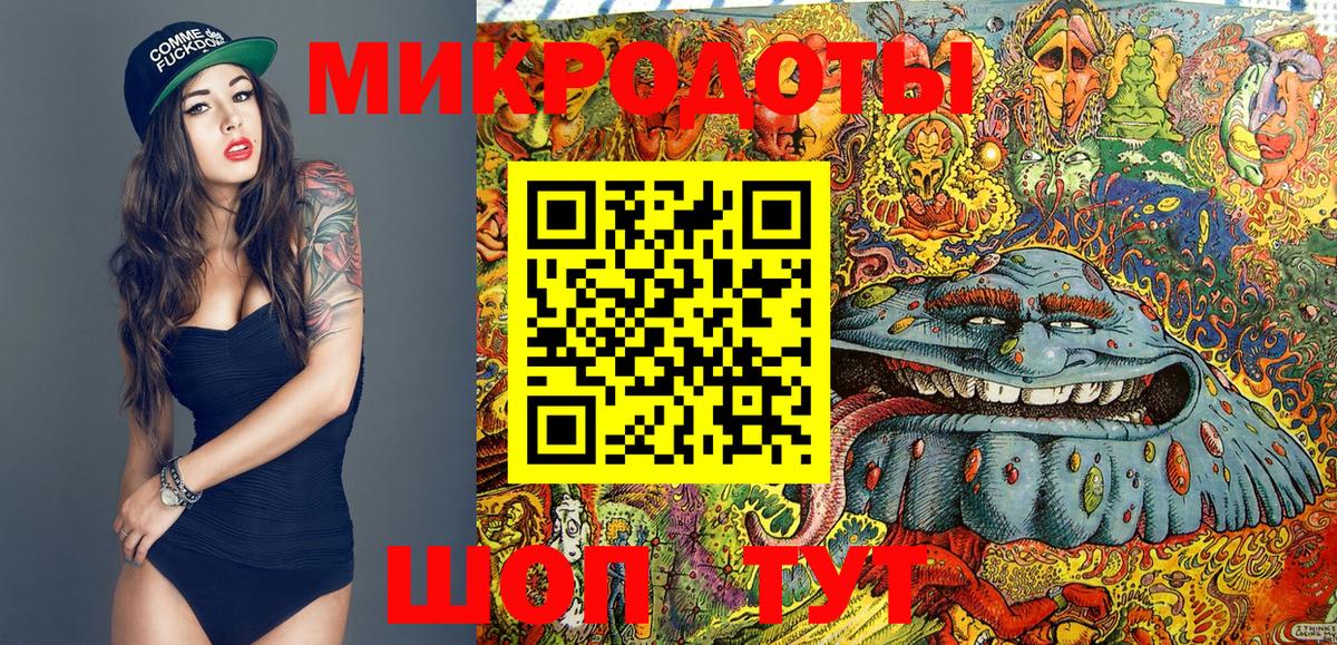 Владикавказ  Псилоцибиновые грибы Magic Shrooms  как найти   Псилоцибиновые грибы Psilocybine cubensis  Вход с VPN 